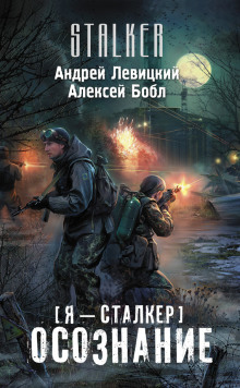 Сталкер. Осознание
