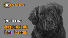 Лохматый пёс Эдисона