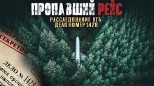 Архив из макулатуры. Пропавший самолет