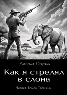 Как я стрелял в слона