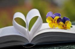 Современная проза. 4 книги, которые стоит прочитать