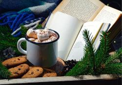 3 чудесные книги с зимним настроением